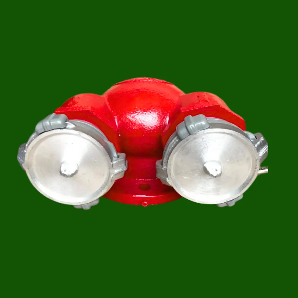 Họng tiếp nước chữa cháy 2 cửa 4 lỗ D80 Trung Quốc