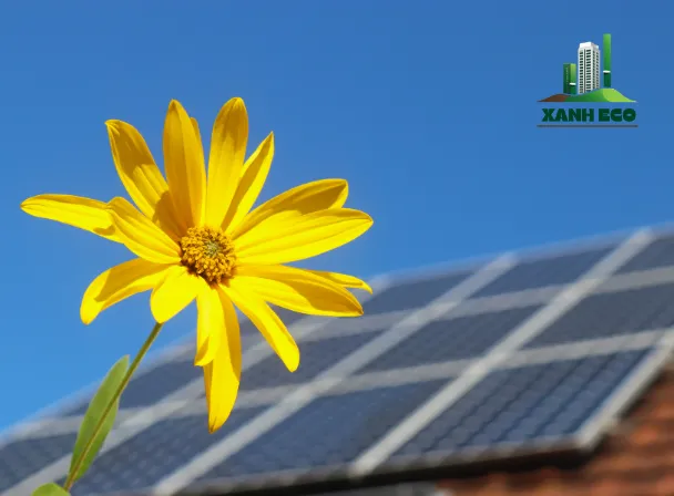 Điện mặt trời cho nông nghiệp: Sự lựa chọn thông minh